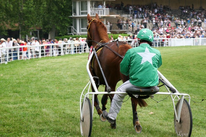 Quelle du Digeon part au canter