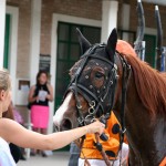 Portrait du vainqueur, Speed de Fage