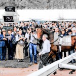 Sea the Stars au rond avant la course