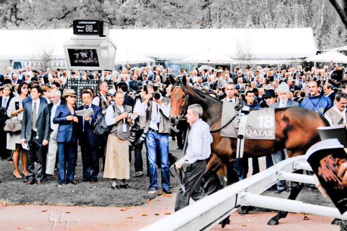 Sea the Stars au rond avant la course