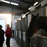 Copper Beech Stables