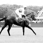 Goldikova, retour vainqueur du Prix de la Forêt 2010.