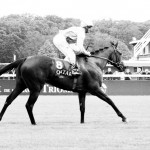 Goldikova, retour vainqueur du Prix de la Forêt 2010.