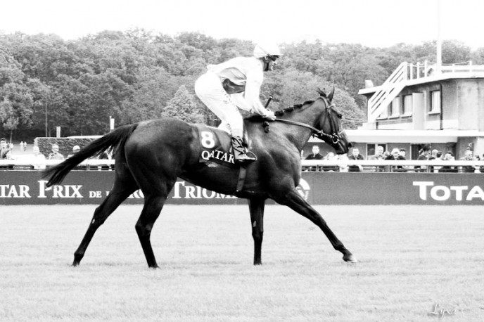 Goldikova, retour vainqueur du Prix de la Forêt 2010.