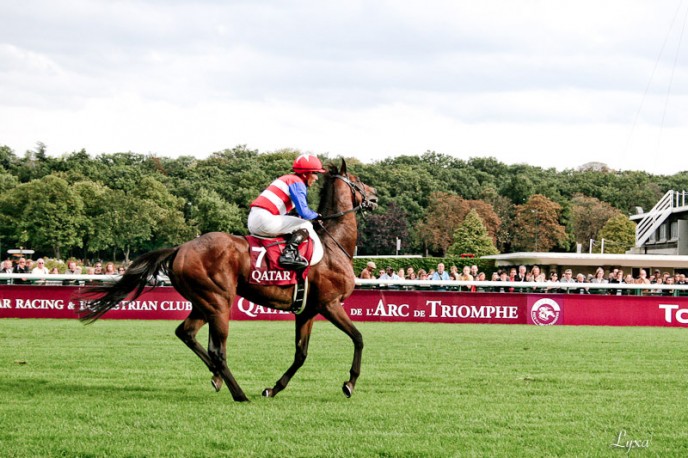 Nakayama Festa à Longchamp - retour de l'Arc