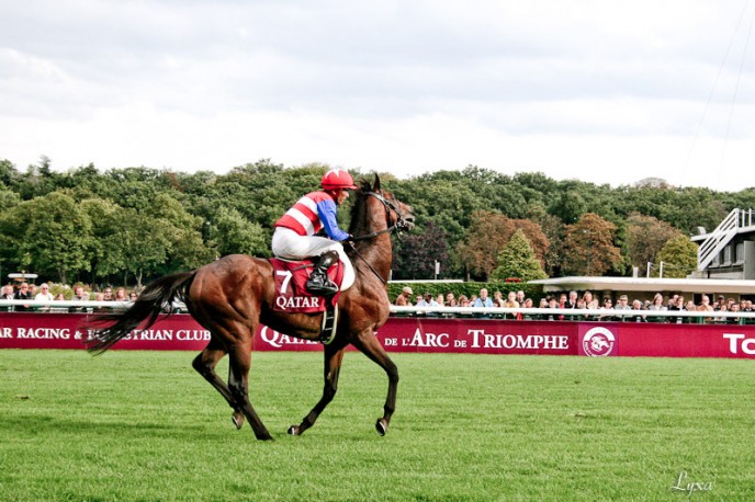 Nakayama Festa à Longchamp - retour de l'Arc