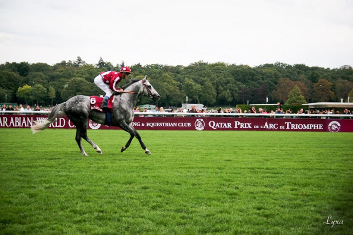 Retour du gagnant de la Qatar Arabian World Cup, Général.